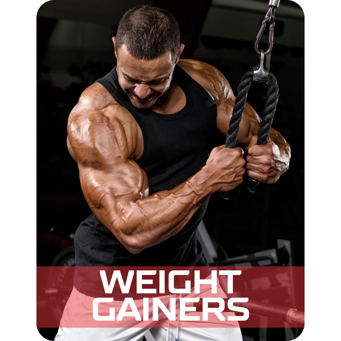 Weight Gainers