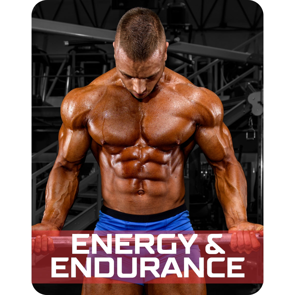 Energy & Endurance